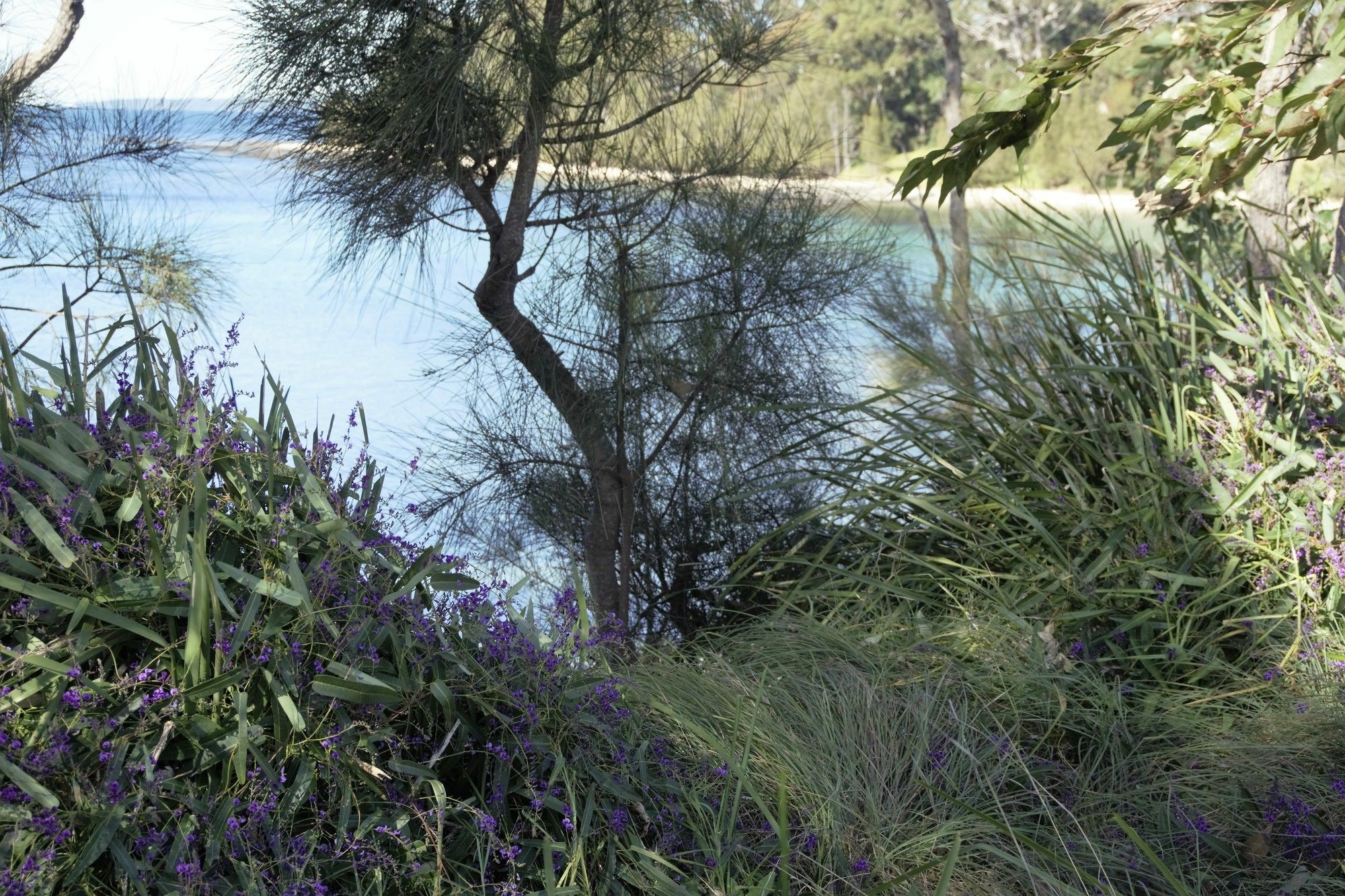 Huskisson Bayside Resort Экстерьер фото